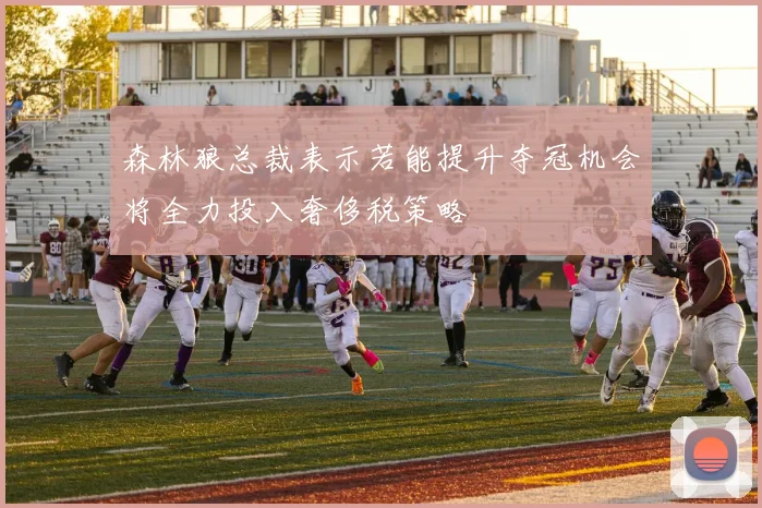 森林狼总裁表示若能提升夺冠机会将全力投入奢侈税策略