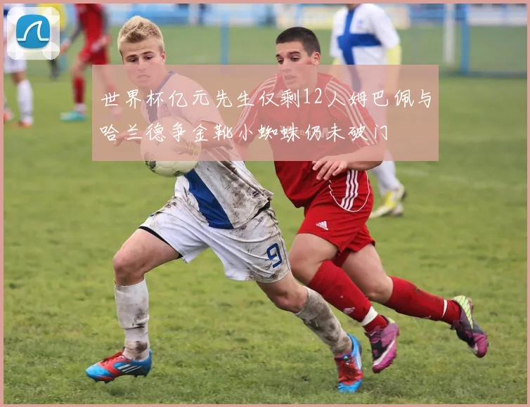 世界杯亿元先生仅剩12人姆巴佩与哈兰德争金靴小蜘蛛仍未破门