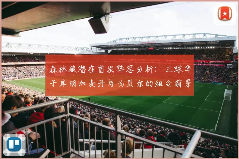森林狼潜在首发阵容分析：三球华子库明加麦丹与戈贝尔的组合前景如何